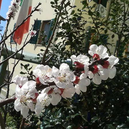 מלון Rita מונטה קטיני טרמה